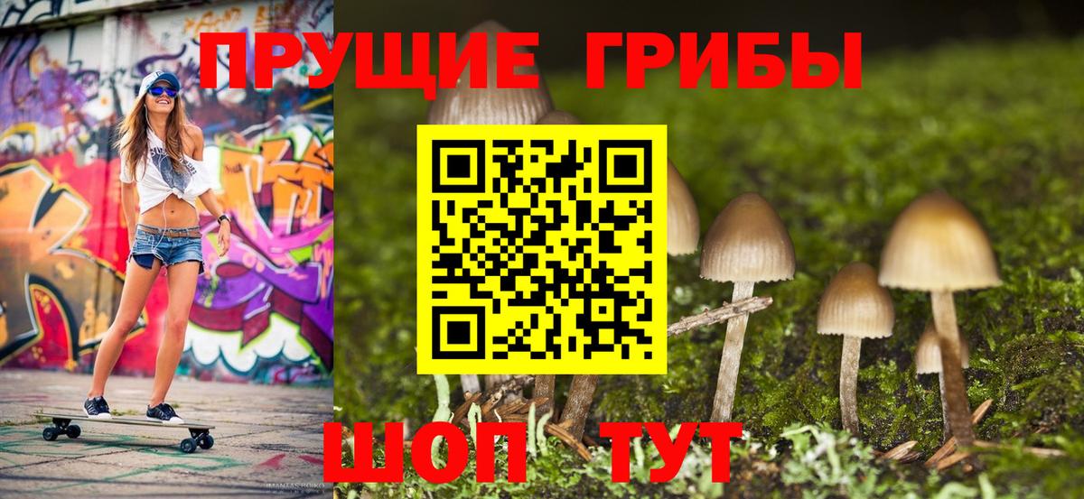 Псилоцибиновые грибы ЛСД  Псилоцибиновые грибы MAGIC MUSHROOMS  Малгобек  Вход с VPN 